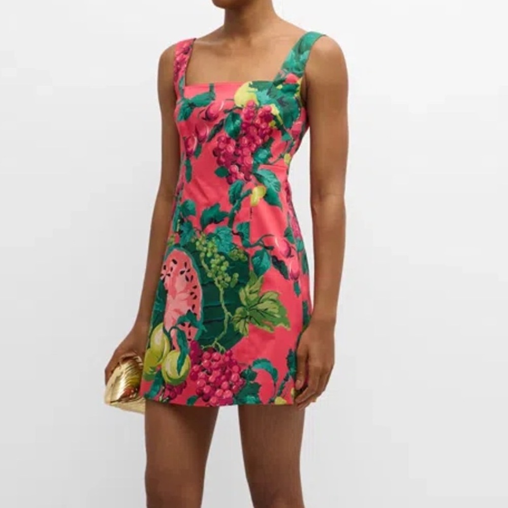 Cara Cara Anna Cotton Poplin Pink and Green Mini Dress